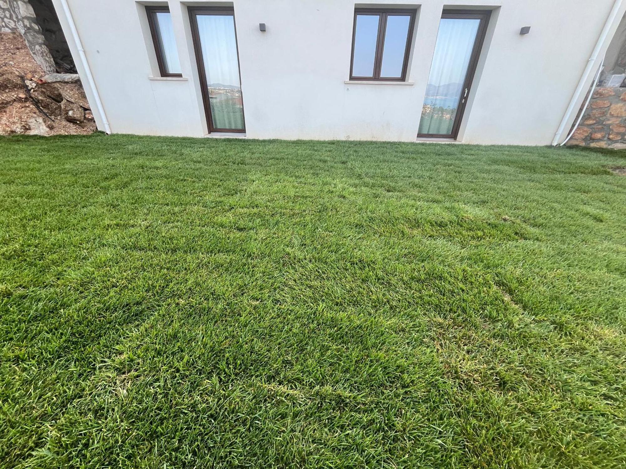 Tenuta Rapillo Castellammare del Golfo Exterior foto